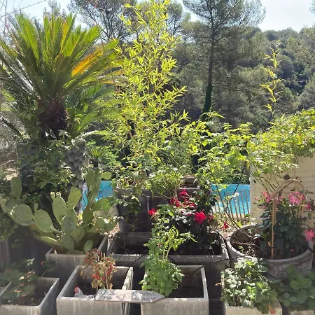 Maison Ensoleillee Au Milieu Des Pins Entre Et Cassis *