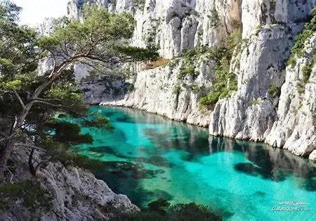 Villa Maison Ensoleillee Au Milieu Des Pins Entre Et Cassis Marseille